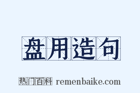 盘用造句是什么意思的图片